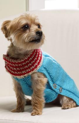 red heart dog sweater