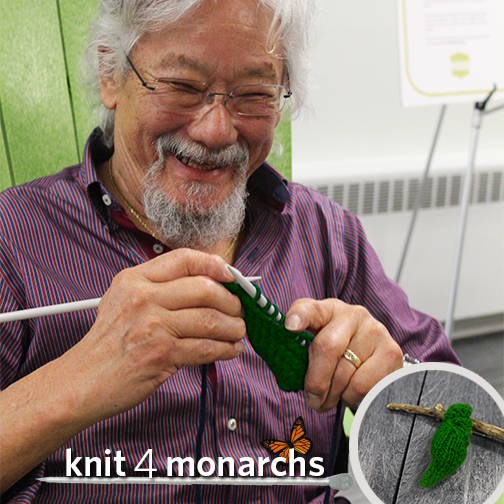 knit for monarchs april fools