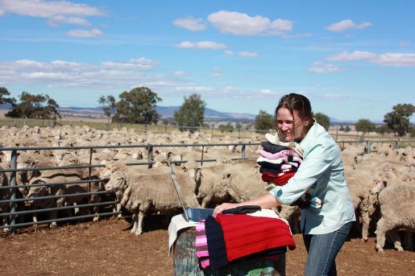 australia knitters cooperative