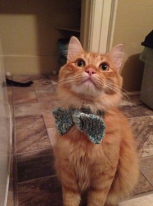 bowtie