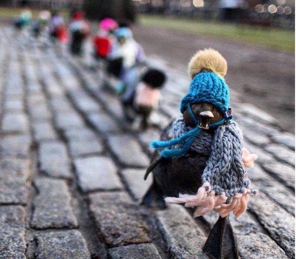 yarnbombed duklings and more knitting news