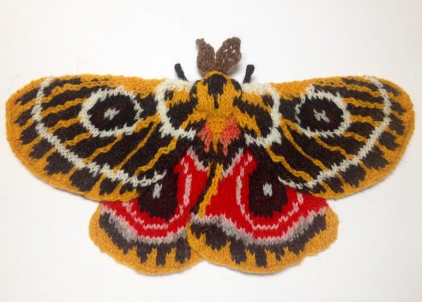 Check out these amazing knit moths!