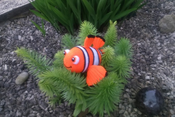 knit nemo fish