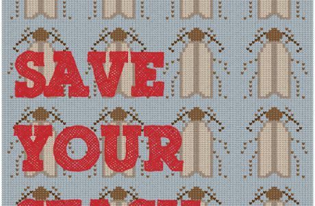 Excellent tips for dealing with a moth infestation from the Zen of Making.