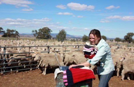 australia knitters cooperative