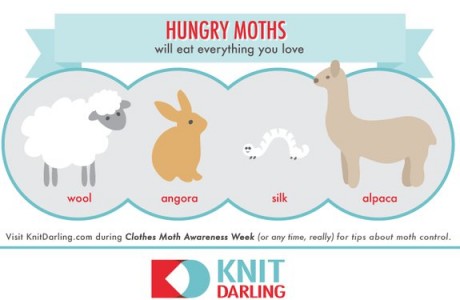 moth infestation