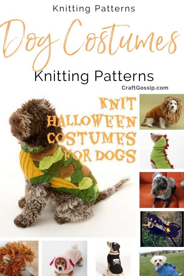 2023 Pet Halloween Costume Trends (& Safety Tips) - Canine Journal