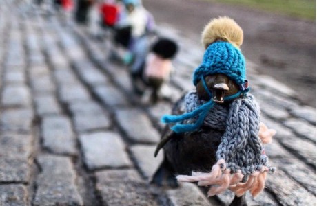 yarnbombed duklings and more knitting news