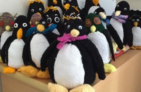knitbits: penguin knitting for charity