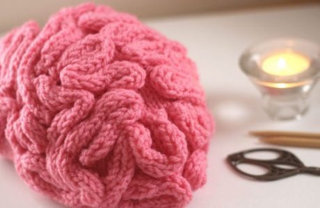 Knit a brain hat for the science march?
