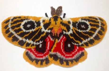 Check out these amazing knit moths!