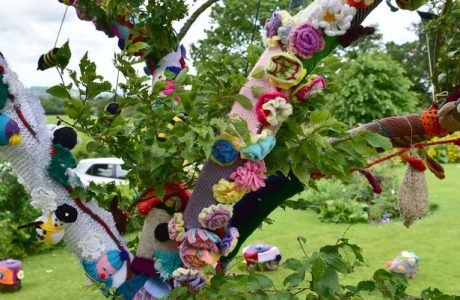 yarn bombing at hospice