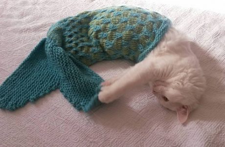 cat mermaid tail blanket