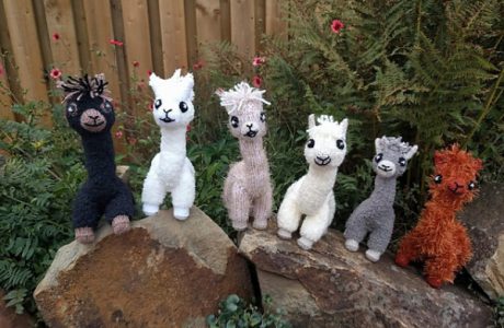 alpaca toy knitting pattern