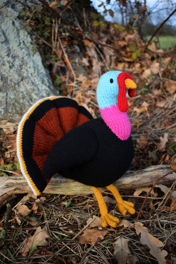 turkey knitting pattern