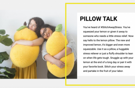 lemon stress ball pillow
